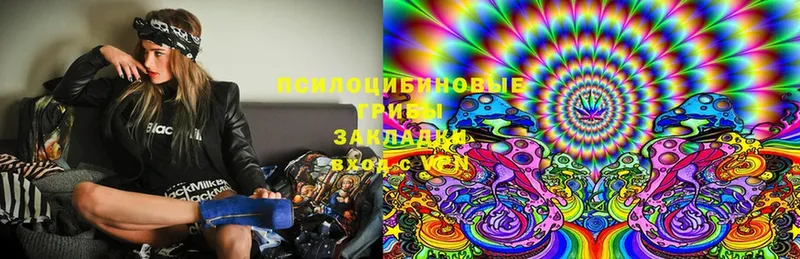 Псилоцибиновые грибы MAGIC MUSHROOMS  omg сайт  Калач 