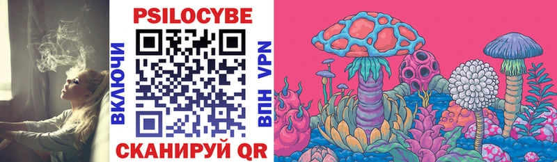 omg ссылка  Калач  Псилоцибиновые грибы Magic Shrooms 